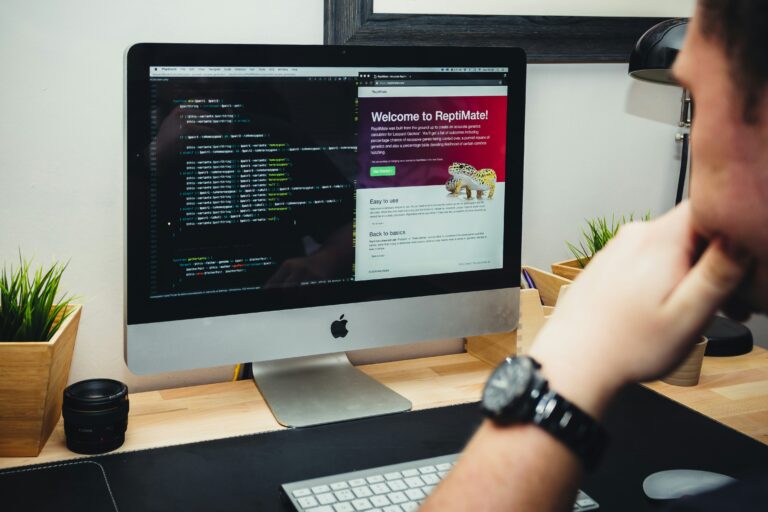 Web Development Services